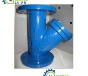 Y Strainer 1